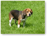 Guus is inmiddels naar huus. Was-ie ook aan toe, de schat.