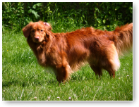 Kleine Kyra is altijd druk, maar heeft toch even tijd om te poseren.