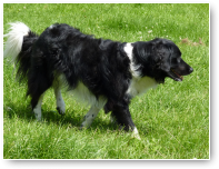 Joeke zoekt een lekker plekje.