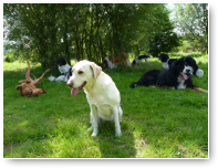 Savoy is net binnen maar begint te snappen waarom de rest er lekker bij gaat liggen.
