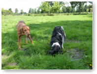 Joeke graaft en Tibor is benieuwd waar ze mee naar boven komt.