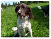 Silke begint ook kleine oogjes te krijgen. Een schatje is het!