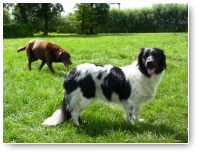 Lisa en Wopke. Warm hè meiden?