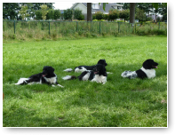 Joeke vindt dat een puik plan.