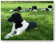 Hee, denkt Beike, dat wil ik ook wel.