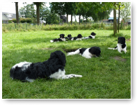 Amber en Tasjs sluiten zich aan...