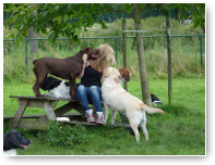 Intussen grijpen Lisa en Rex hun kans bij Joanne. Die tafel stond al scheef hoor.