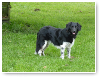 Fien begon heel verlegen. Ze is nog steeds geen heldin maar draait lekker mee.