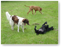 Doerak slooft zich uit maar Lucy is totaal niet onder de indruk.