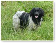 Kan Bente nog lachen naar het vogeltje?