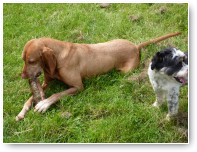 Jack veinst desinteresse.