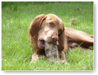 Plaatje van de week.