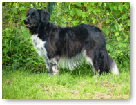 Met deze foto kan je zo in het stamboek, Zita!