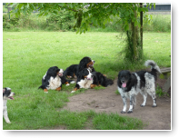 "O, nee..nou komt ze weer hierheen met die camera..." Alsof ze afgesproken hebben me te negeren.