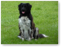 Zita weet wat poseren is.