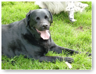 Ja!!! Hebbes...een foto van Doerak!